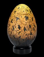 Dragon Egg fossilised