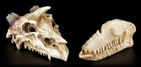 Box - Horn Dragon Skull