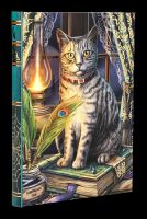 Journal Witch Cat - Book of Shadows