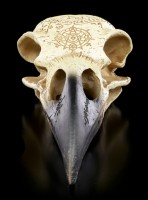 Alchemy Raven Skull - Omega