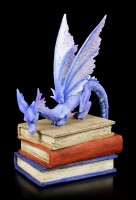Drachen Figur - Book Dragon