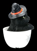 Schwarze Hexen-Katze in Tasse