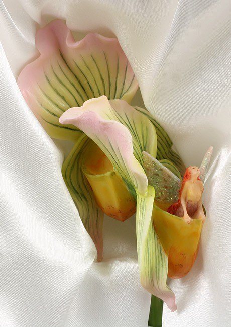 Sheila Wolk Stem Flitty'z - Lady Slipper Orchid