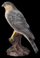 Bird of Prey Figurine - Sparrowhawk