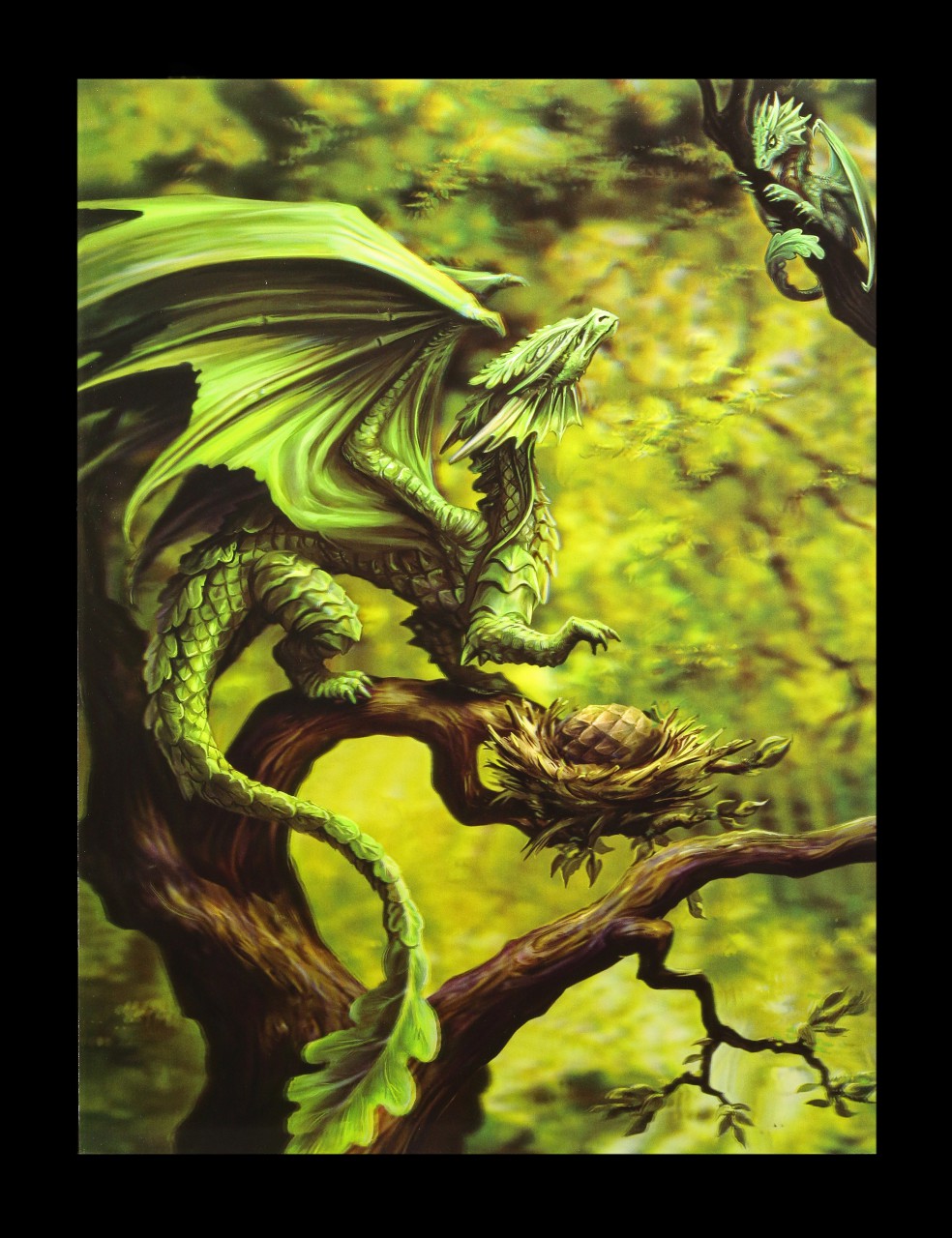 3D-Bild Anne Stokes Drache - Forest Dragon