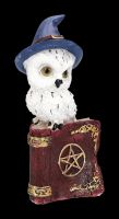 Snowy Owl Figurine with Magic Book - red