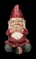 Gnomes Figurines - No Evil