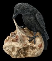 Raven Figurine eats rotting Skull