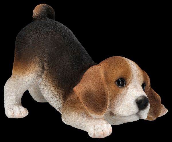 Hundefigur - Beagle Welpe will spielen