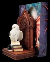 Bookend - Owl of Wisdom hand painted