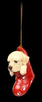 Christbaumschmuck Hund - Labrador im Strumpf