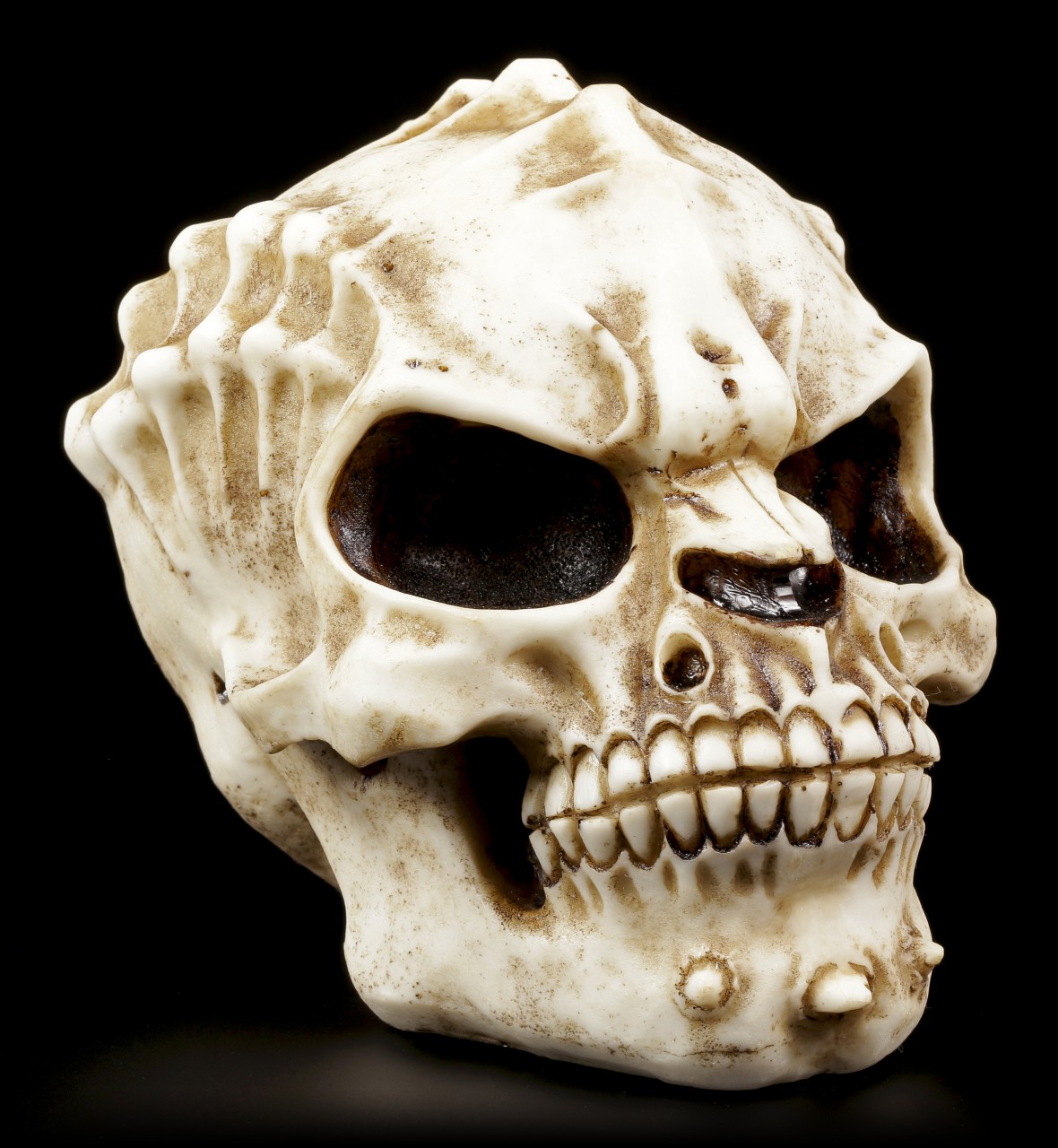 Skull - Alien Invader - Bone colored