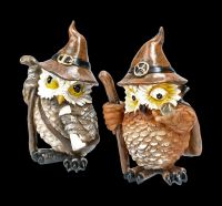 Mystical Owls Figurines - Set of 2