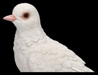 Garden Figurine - White Dove - Diamond Dove