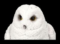 Snowy Owl Figurine - Cute Baby