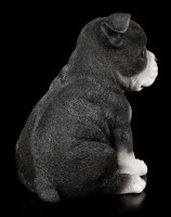 Dog Puppy Figurine - Boston Terrier