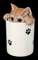 Treat Box - Tabby Cat