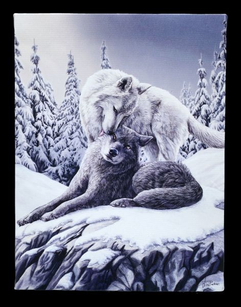 Kleine Leinwand Wölfe - Snow Kisses