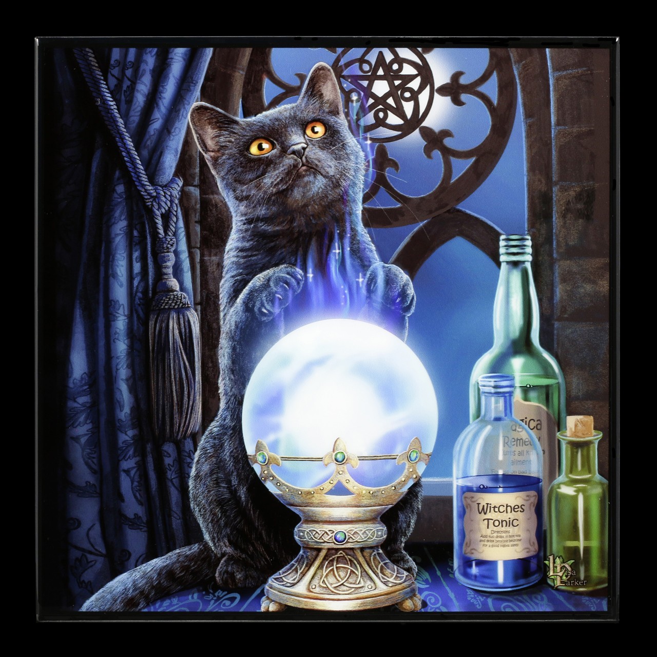Kleines Hochglanz Bild mit Katze - Witches Apprentice