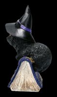 Small Witches Cat Figurine - Pocus