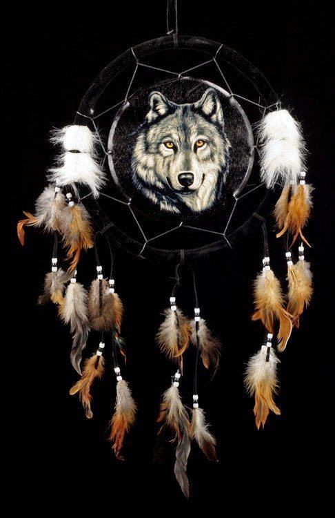 Wolf Traumfänger - Wild Wolf