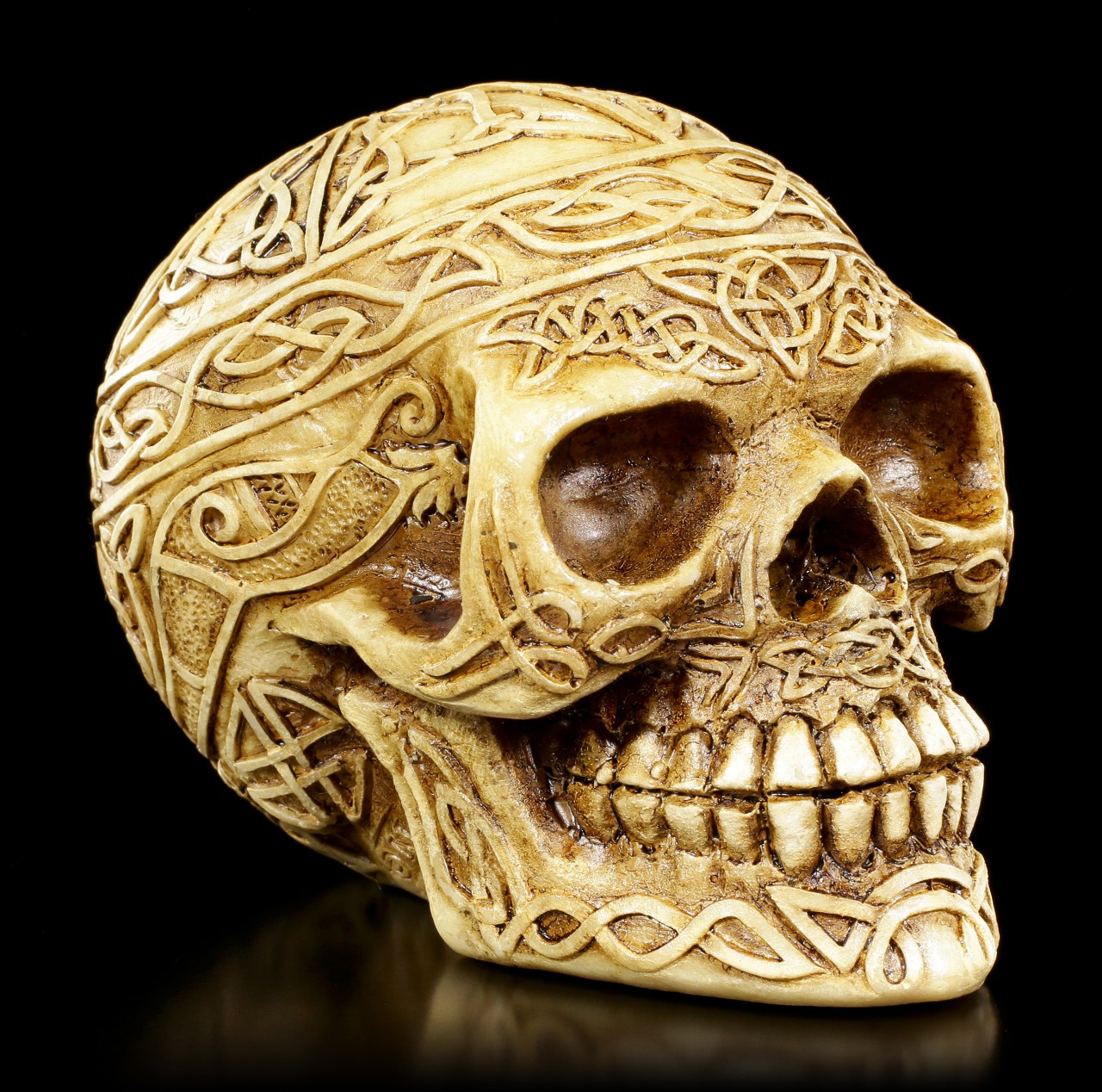 Celtic Skull - Bone