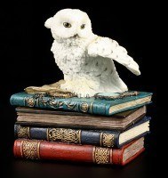 Magic Box - Owl with Books