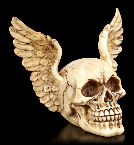 Totenkopf mit Flügeln - Wings of Heaven