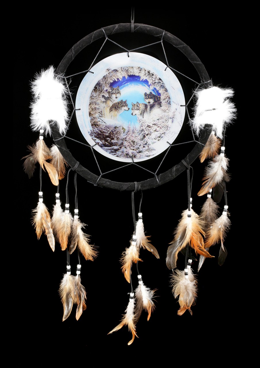 Dreamcatcher with 3D Picture - Winter's Call