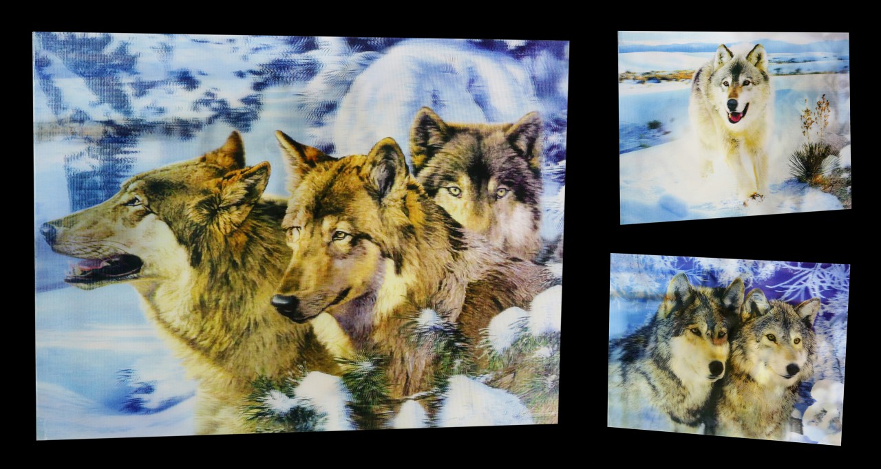 3D-Picture 3in1 with Wolves - Winter Dream