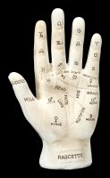 Wahrsager Hand - Palmistry weiß