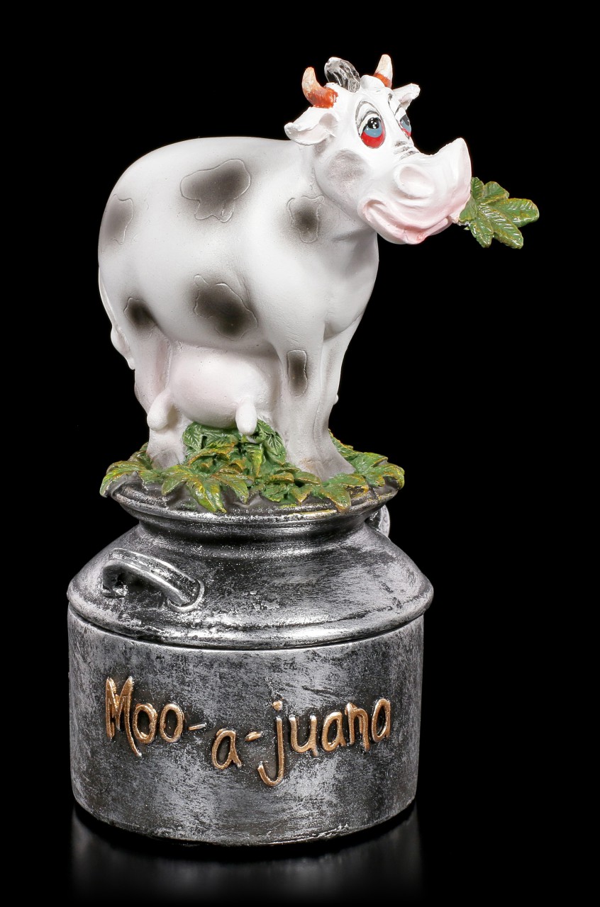 Cow Box - Moo-a-juana