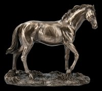 Horse Figurine on Meadow