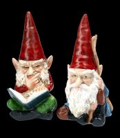Gnome Figurines Set with Book and Stick