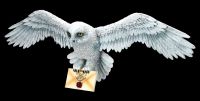 Wandrelief Harry Potter - Eule Hedwig
