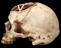 Skull Figurine - Ritual Skull with Pentagram