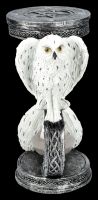 Hourglass Snowy Owl & Crescent Moon