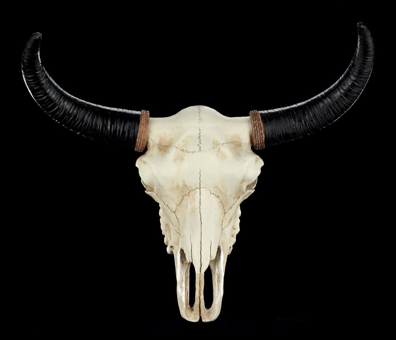 Wall Relief - Bison Skull