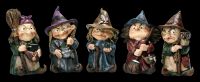 Funny Witch Figurines - Set of 5