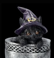 Witch Cat Figurine in Goblet - Coven Cup