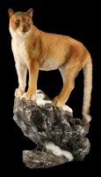 Cougar Figurine - Lookout