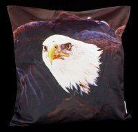 Cushion Cover - Bald Eagle Take Off