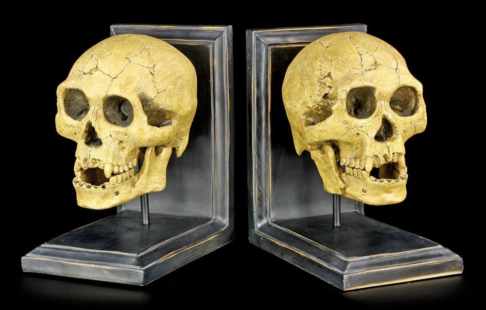 Bookends - Skulls - Knowledge waits for no one