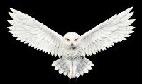 Wall Plaque white Owl - Awaken your Magic