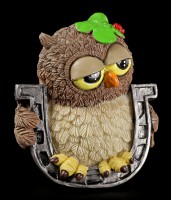 Funny Owl Figurine - "Good Luck" with Horseshoe