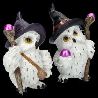 Owl Figurines Set of 2 - Wizard with Wand