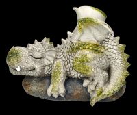 Garden Figurine Dragon Sunbathing - Siesta