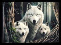 Blechschild - Wolf Watcher groß