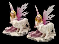 Fairy Figurines Set of 2 - Rosa Fairies with Wolf Babies