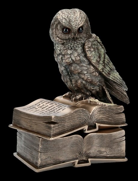 Box - Owl Sitting On Books